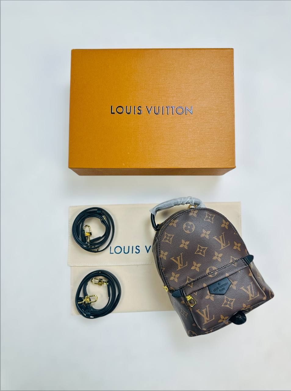 LOUIS VUITTON PALM SPRINGS MONOGRAM MINI WOMEN'S BACKPACK