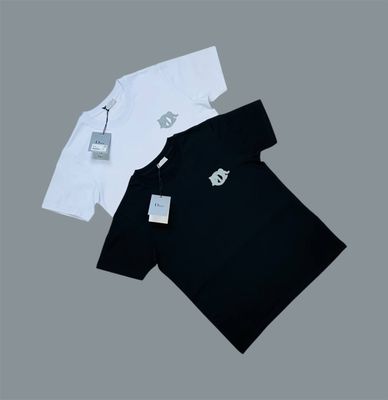 Dior Logo Printed Crew Neck T-Shirts For Men's in 2 Colors