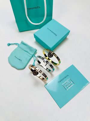 Tiffany & Co. Forever Love Heart Charm Bracelet For Women's in Different Colors