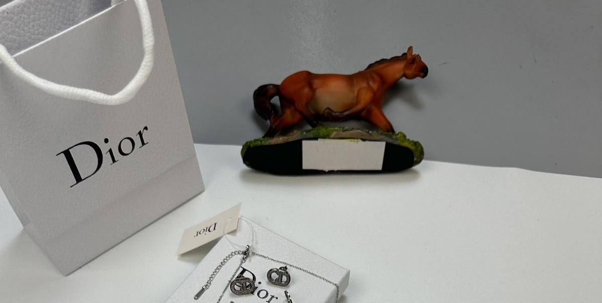 Christian Dior CD Silver Earrings For Women's