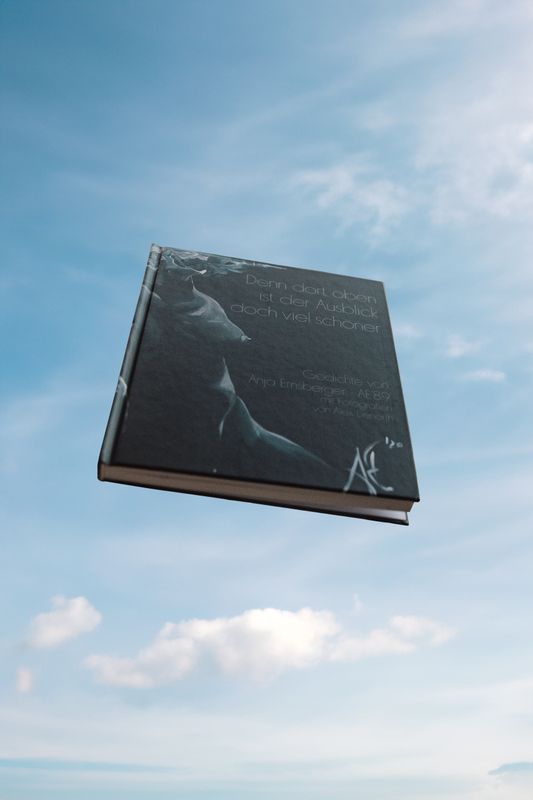 "Denn dort oben ist der Ausblick doch viel schöner" - Hardcover