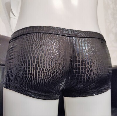 &quot;Glossy Black&quot; Wetlook Pants/Hipster/Shorts, Spiegelglanz, Softbund, Gr. M - 2XL