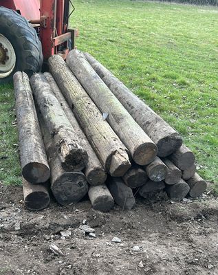 Wooden Telegraph Poles