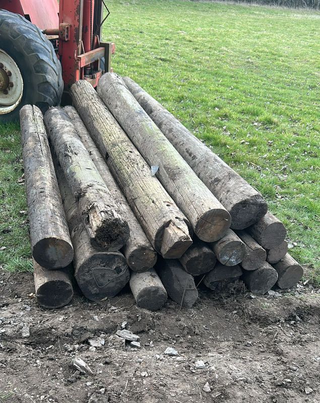 Wooden Telegraph Poles