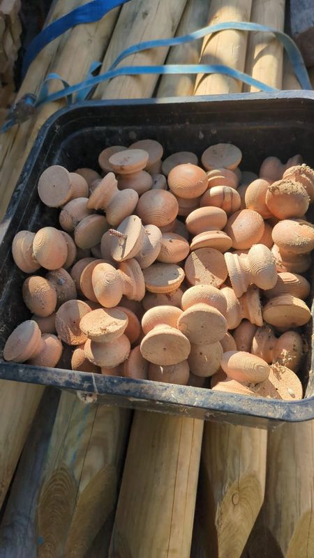 Wooden Knobs (Smaller Size)