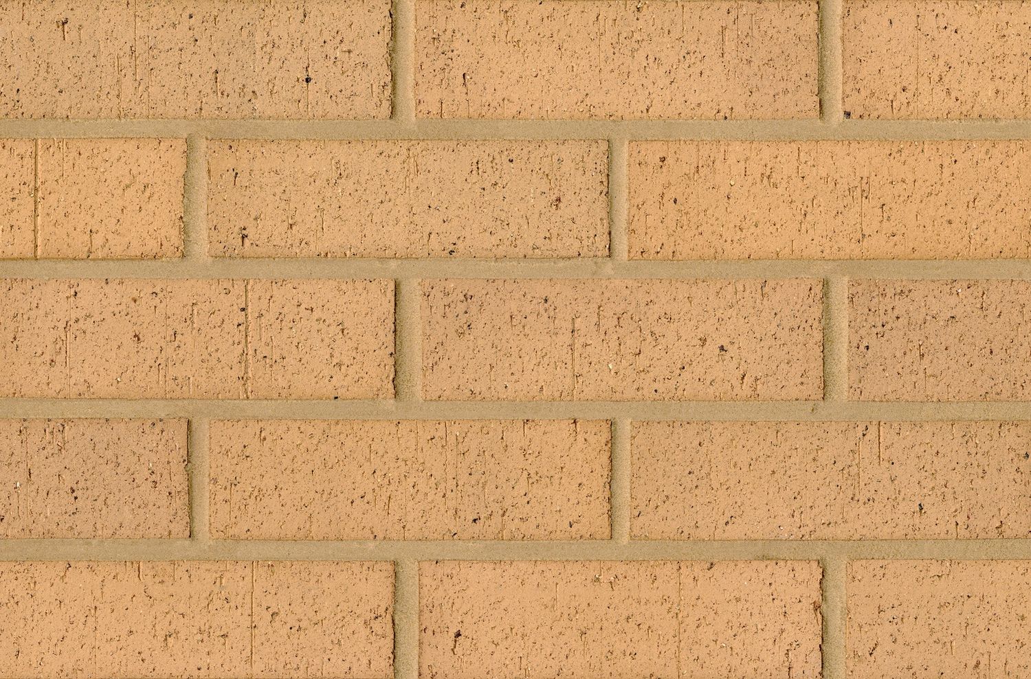 Carlton Pennine Buff Wirecut Bricks (Pack of 400)