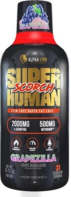 SUPER HUMAN SCORCH / Alpha Lion