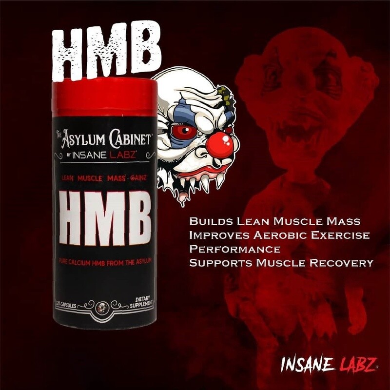 ASYLUM HMB / INSANE LABZ