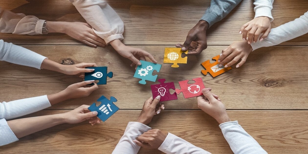 Business Agility Professional Certification- BAPC™