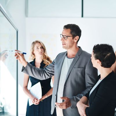 ITIL 4 Strategist: Direct, Plann and Improve eLearning+