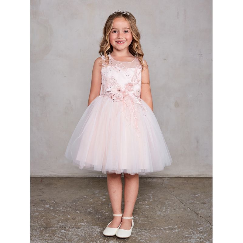 BLUSH PINK DRESS 3D FLOWERS & MESH OVERLAY SKIT / 7027