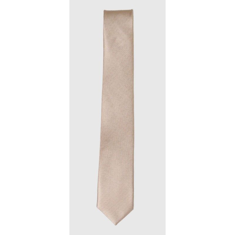 BEIGE TEXTURED TIE SILK / SPT2000