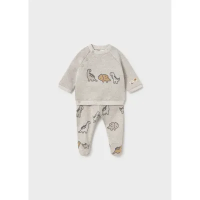 2PC LIGHT GREY LEG ARMER SET DINOSAUR PRINT / 519-077