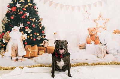 Christmas 2026 .... coming soon!