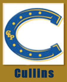 Cullins -- NOVEMBER 2025