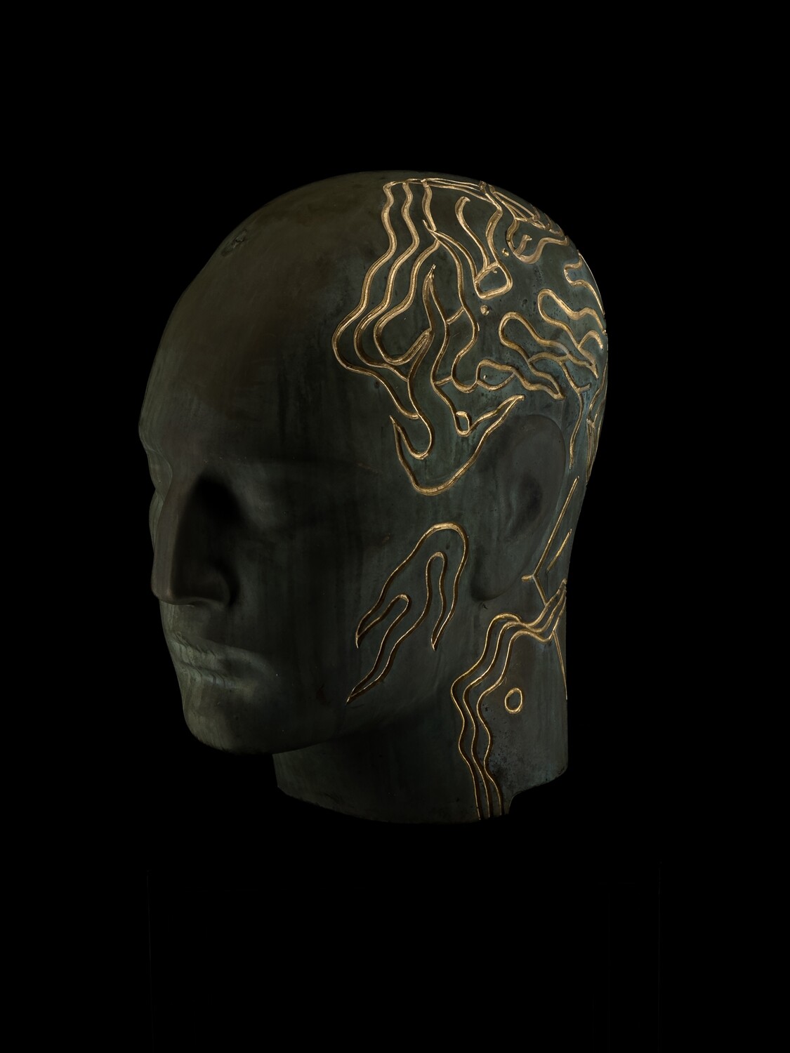 Dased Sapiens
