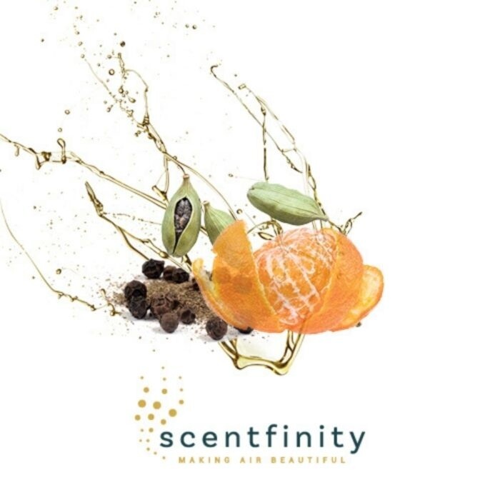 Scentifity Refill Tropical Blue