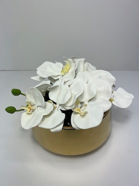 White Orchid Arrangement in Gold SM Round Vase