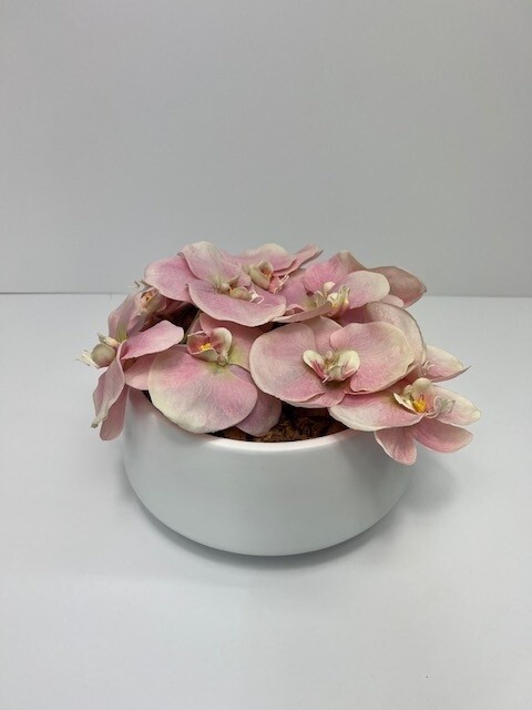Pink Orchid Arrangement in White SM Round Vase