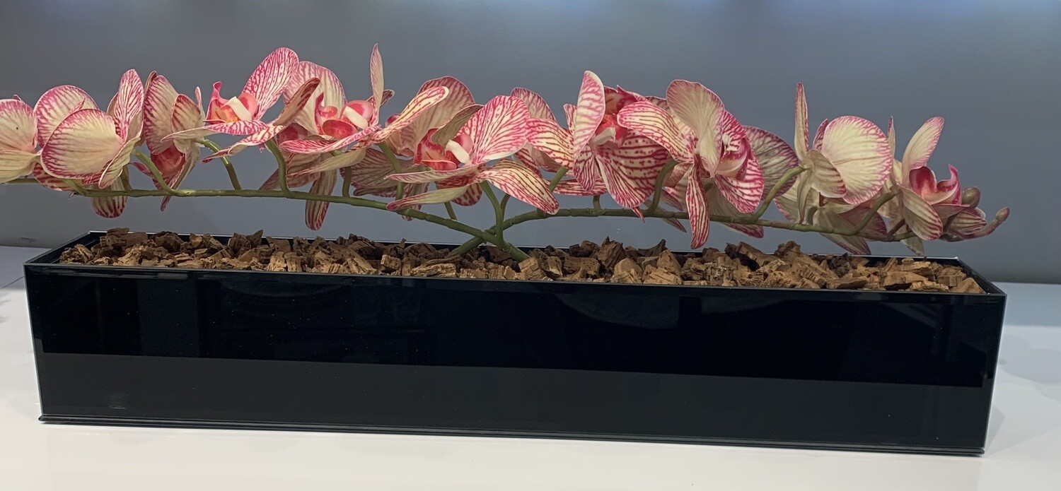 24&#39;&#39; Black Vase with Arched Pink Orchids