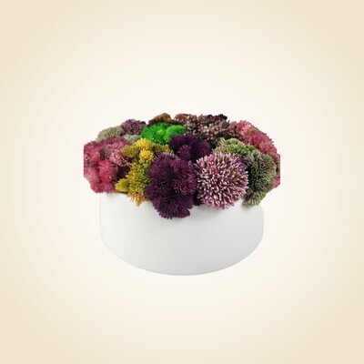 Floral Arrangement in Medium White Round Planter GP