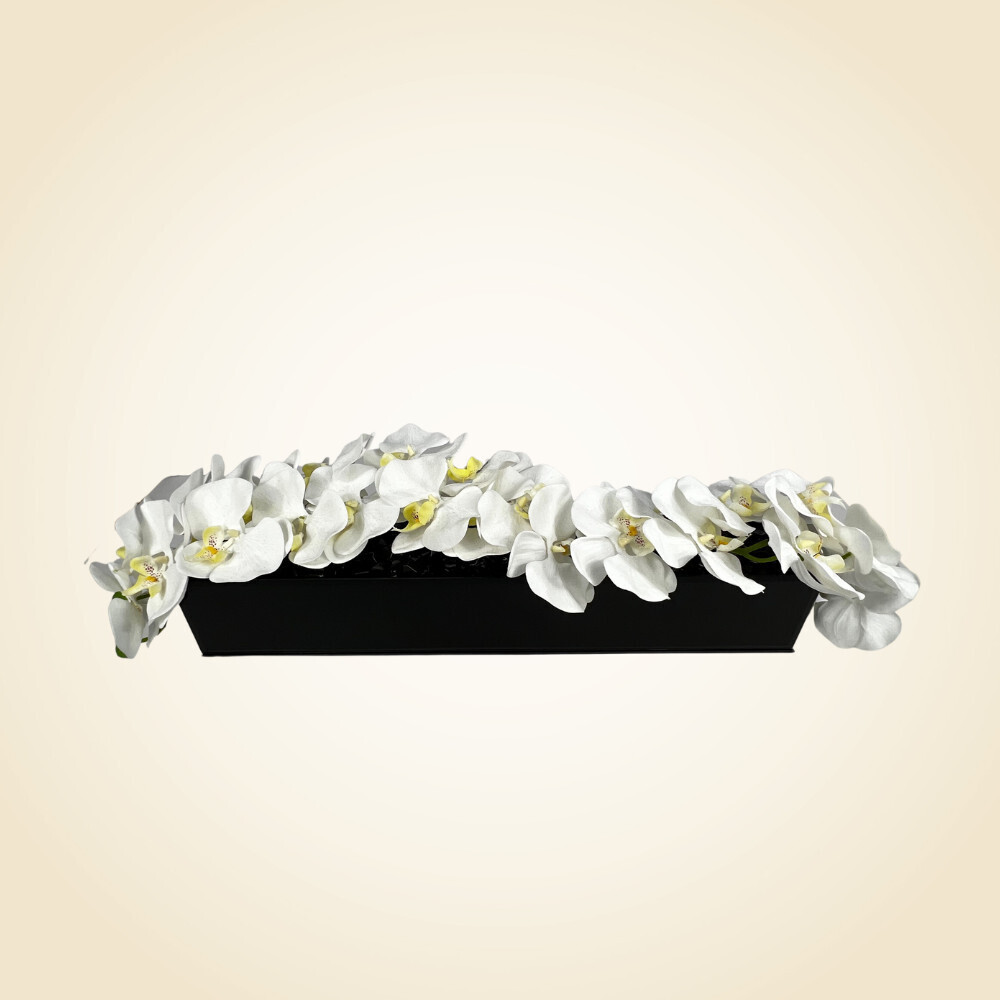 24&#39;&#39; Black Vase with Arched White Orchids