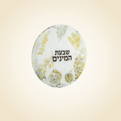 Painted Zelda Round Shivas Haminim Sukkah Decoration