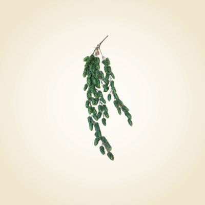 Hops Garlands