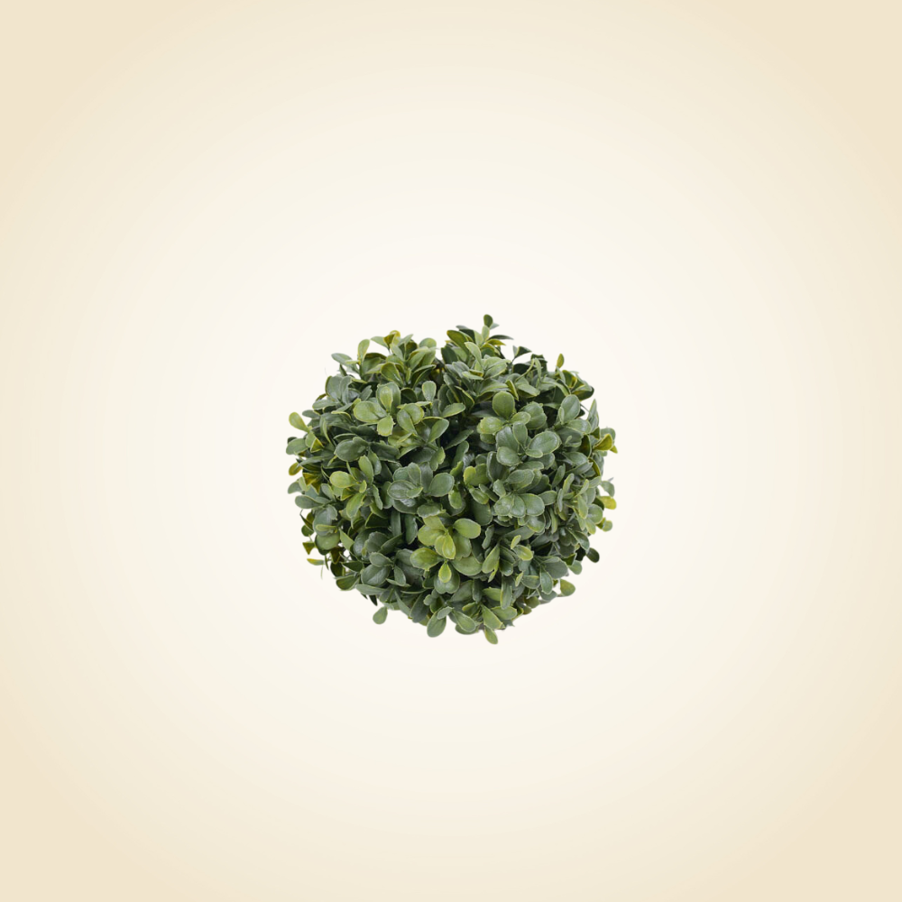 Boxwood Green Ball 10&quot;