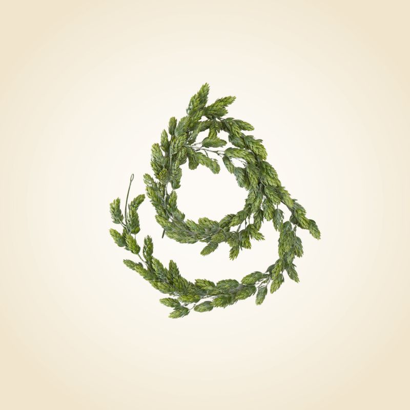 Hops Long Garlands