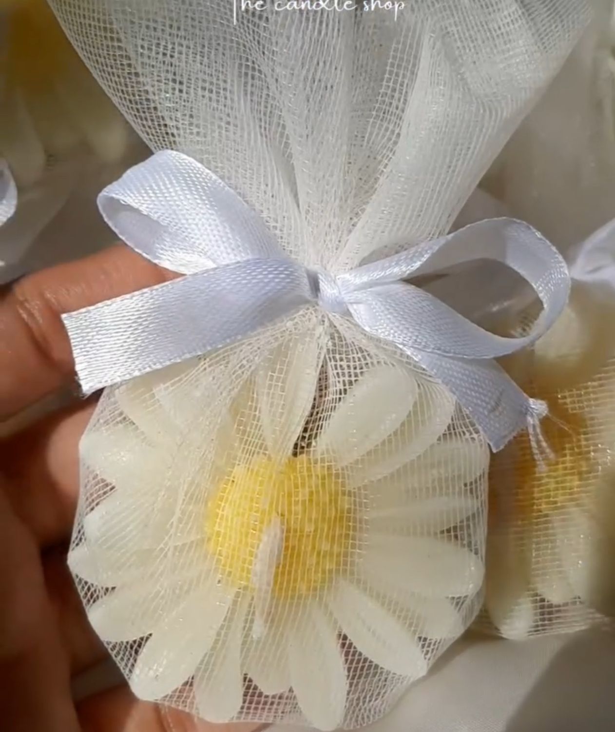 Daisy Candle Token without cards