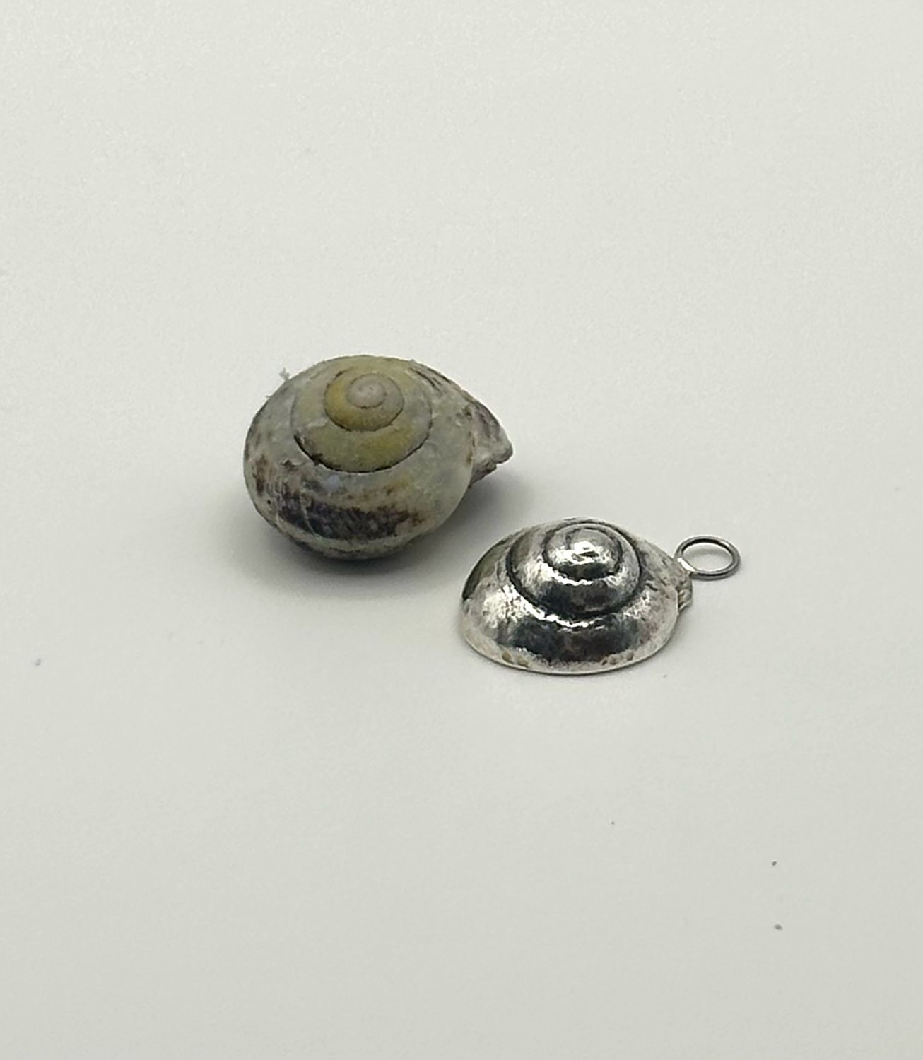 Norfolk Seashell Silver pendant