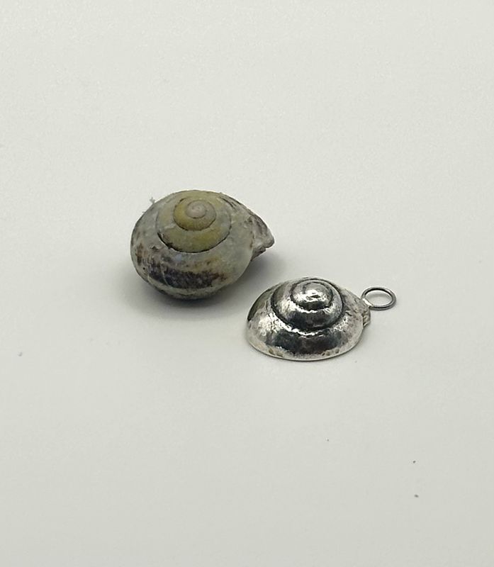 Norfolk Seashell Silver pendant