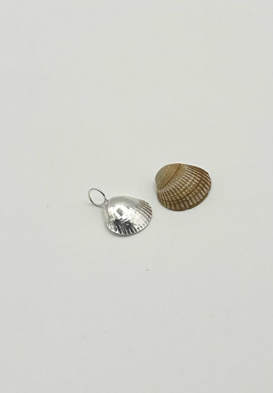 Little Wells Beach Shell Necklace