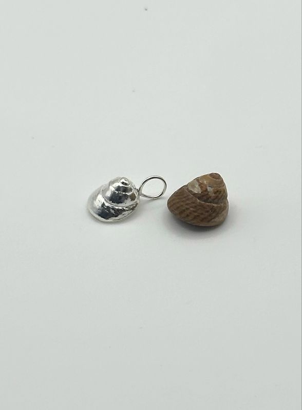 Tiny Wells Beach Winkle Shell Necklace