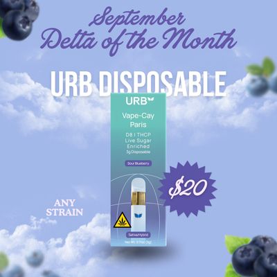 Urb™ Disposable (Liquid Badder)