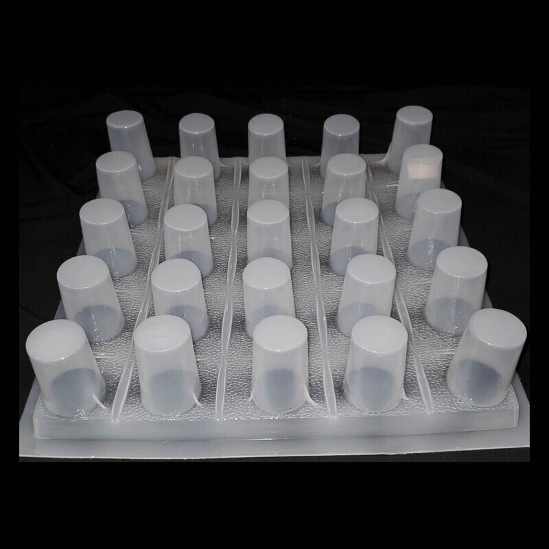 Gelapaletas Molds