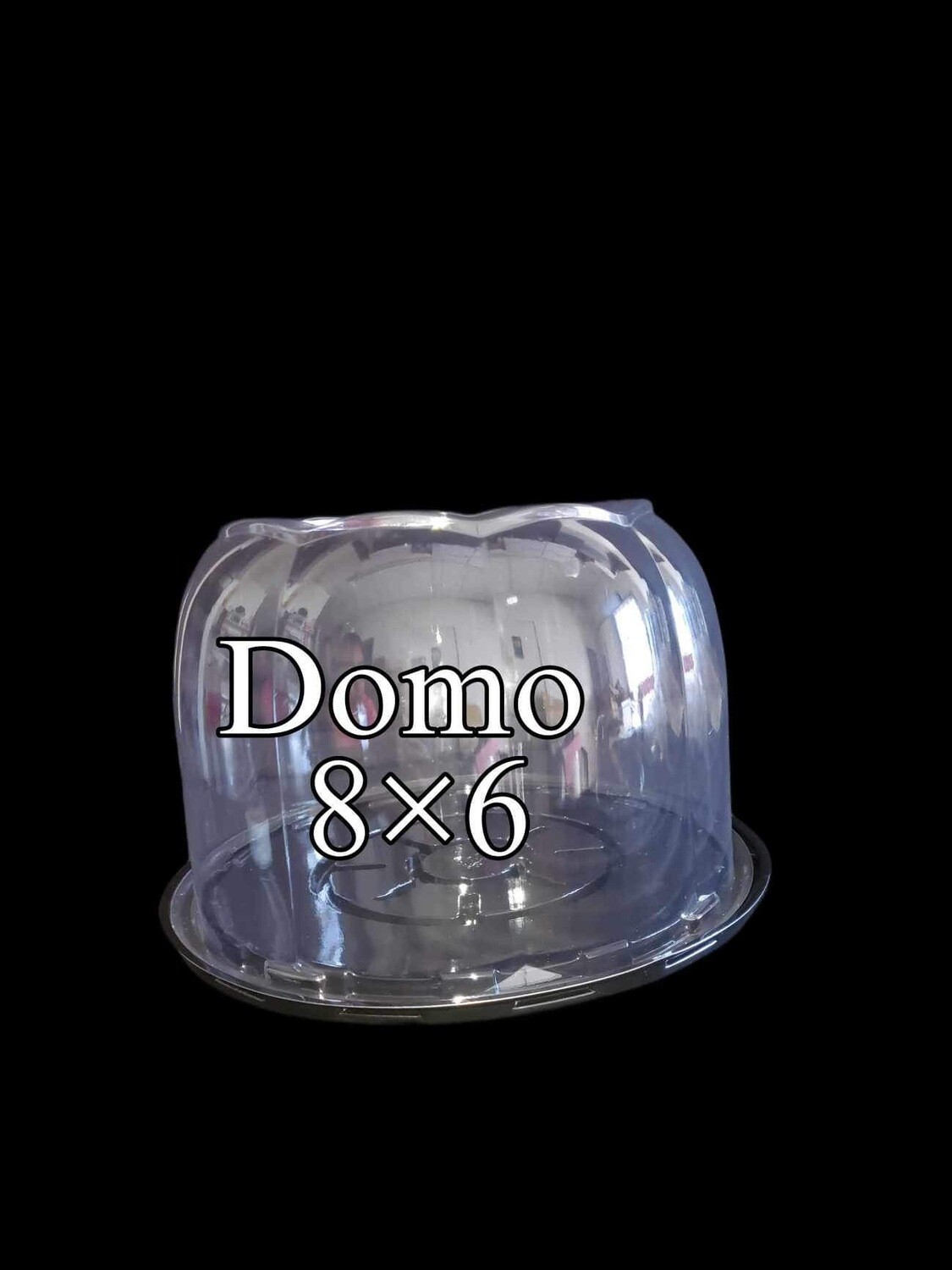 Domo 8x6
