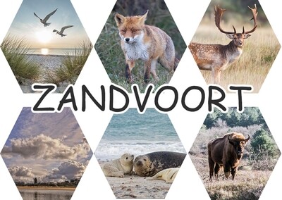Ansichtkaart Collage Dieren in Zandvoort