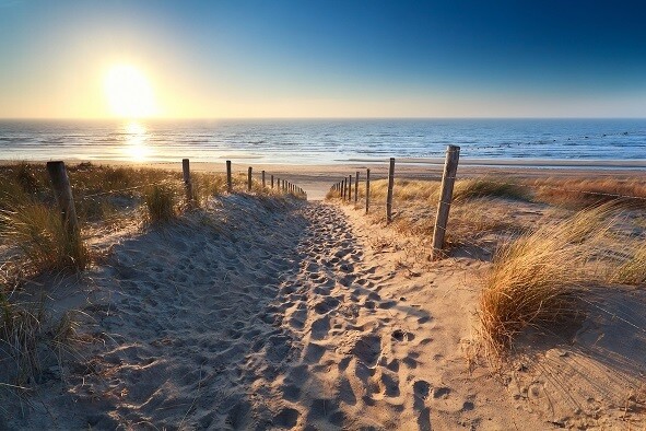 Zeereep Zandvoort - print op paneel