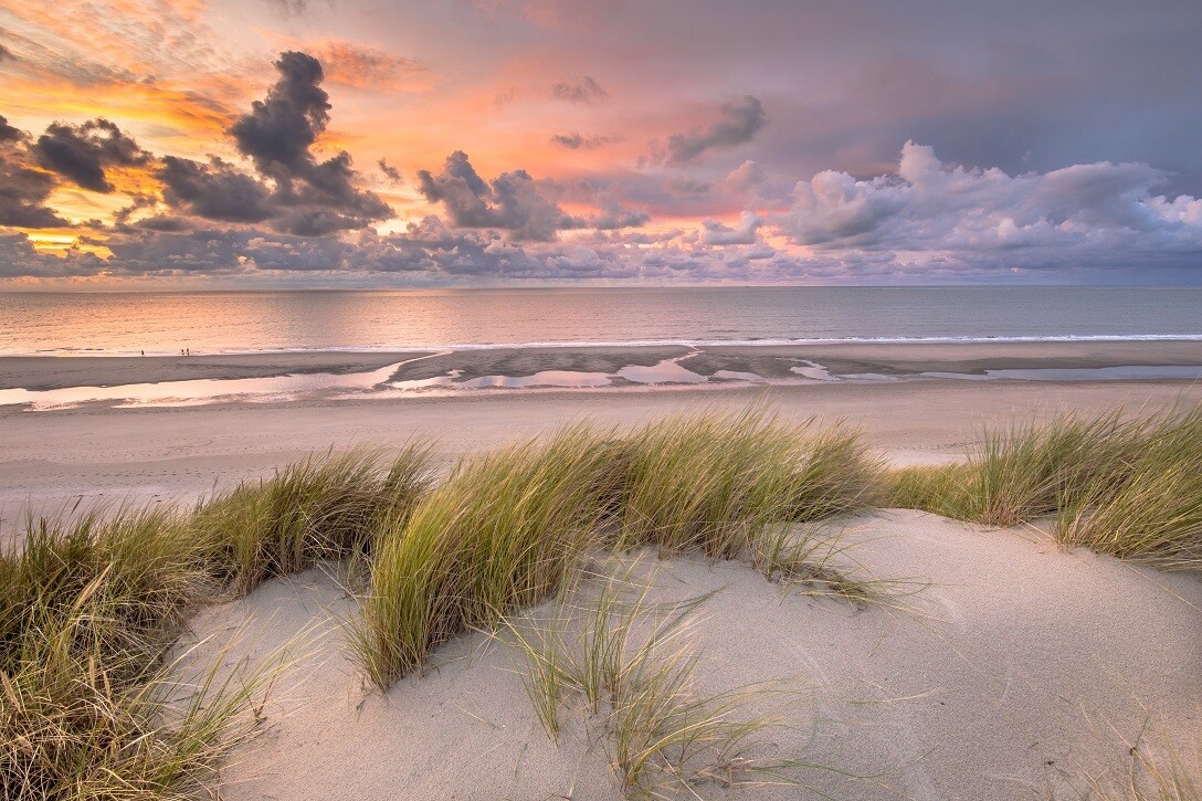 Zeereep zonsondergang - print op paneel