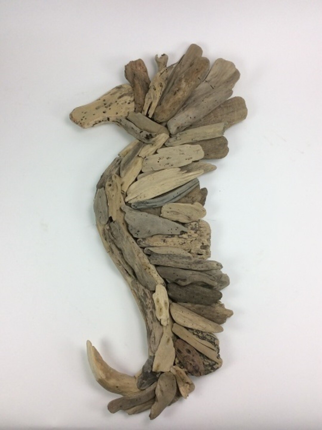 Zeepaard driftwood (drijfhout)