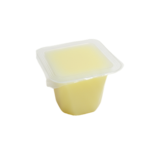 Mini Nata de Coco Pudding - Melon / Pineapple / Lychee / Mango / Orange 