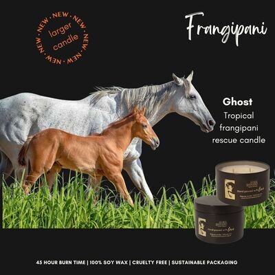 FRANGIPANI CANDLE - HSES GHOST