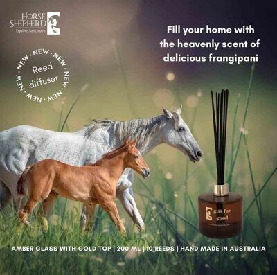Frangipani Reed diffuser - HSES Ghost and Casper