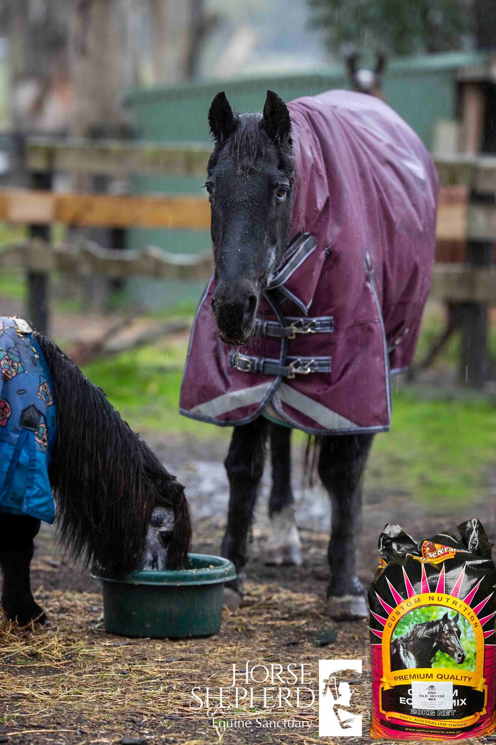 HSES Old Horse Mix - Available from Sanctuary