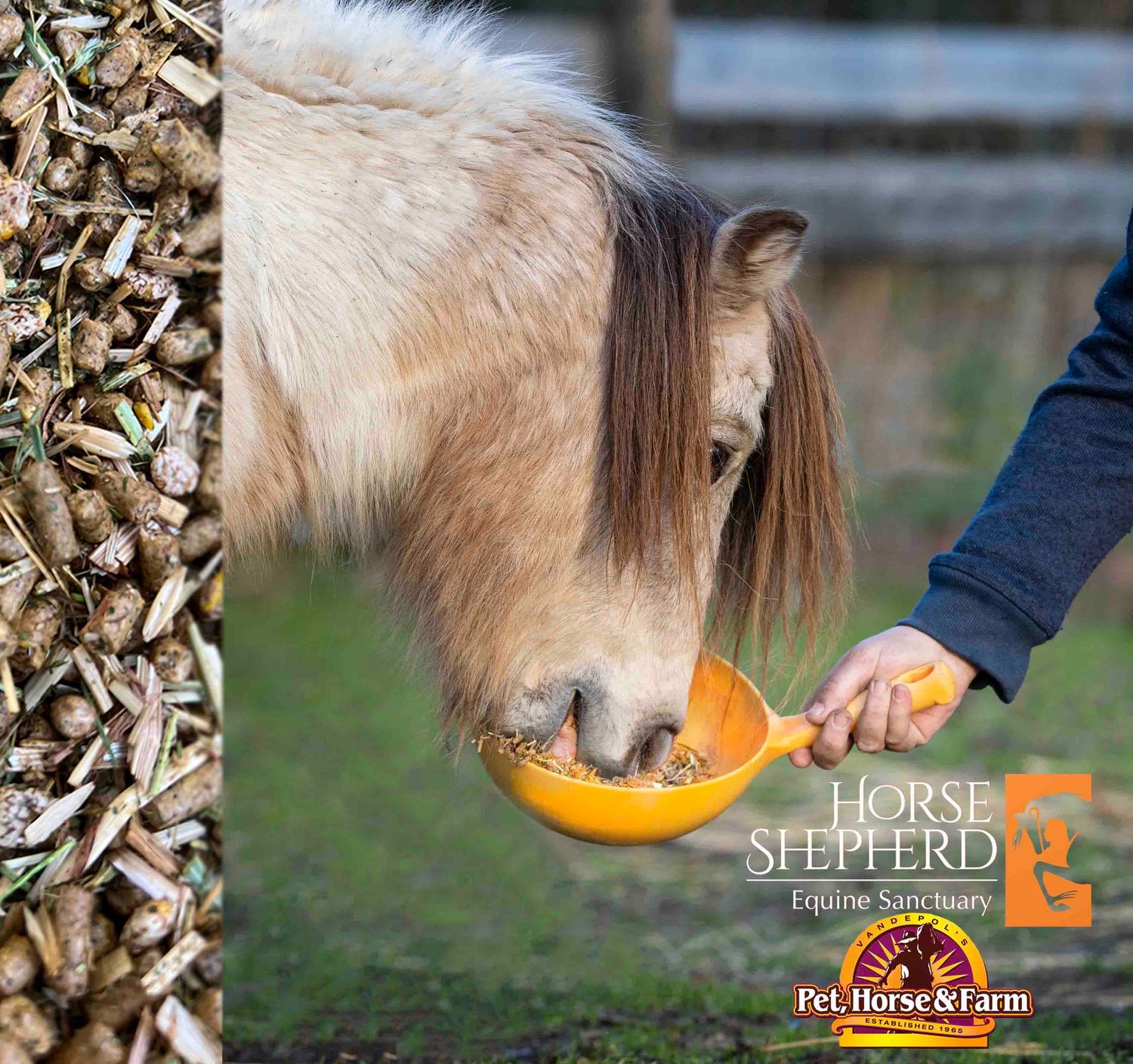 HSES EMS Mix - Sanctuary Collection only