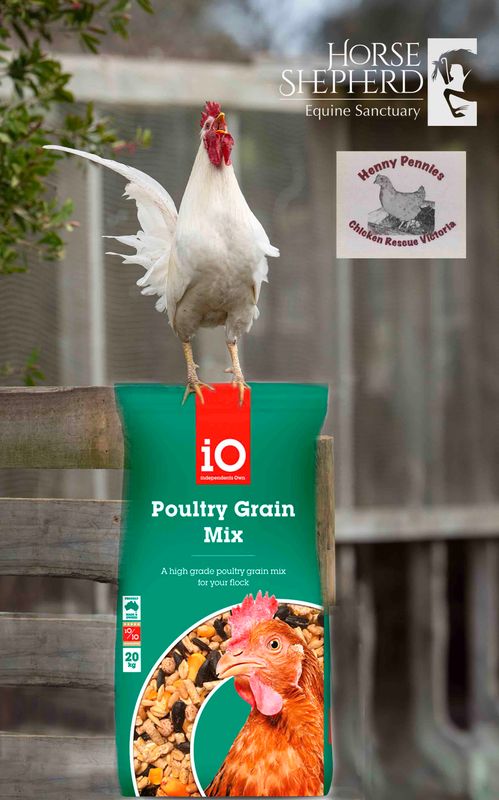 Chook Food - Henny Pennys
