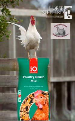 Chook Food - Henny Pennys