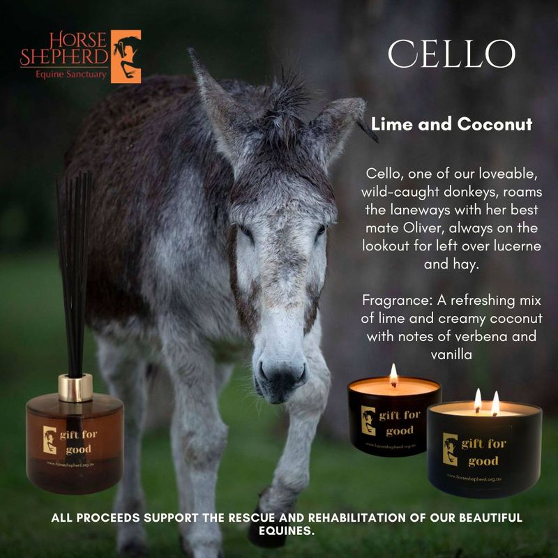 HSES Cello - Lime and Coconut